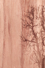 Carica l'immagine nel visualizzatore di Gallery, Albero d'inverno